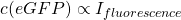 \[ c(eGFP)\propto I_{fluorescence} \]